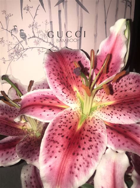 gucci bamboo lily